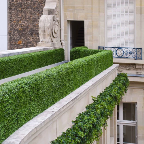 Siepi e piante da giardino su un edificio
