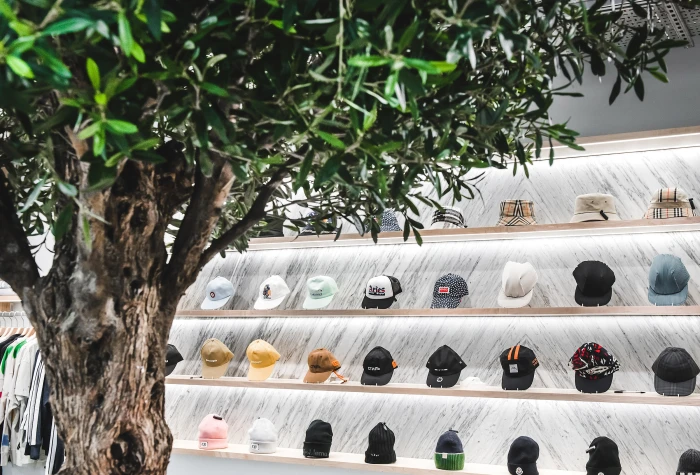 artificial olive tree in a shop