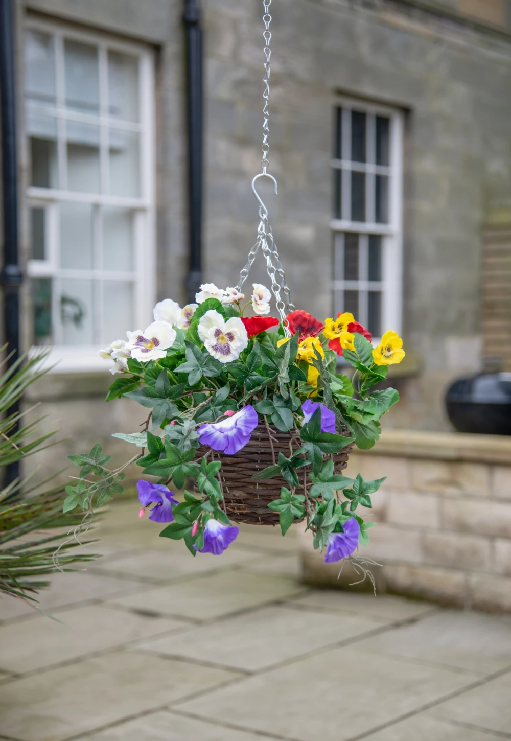 petunia and pansy mixed basket