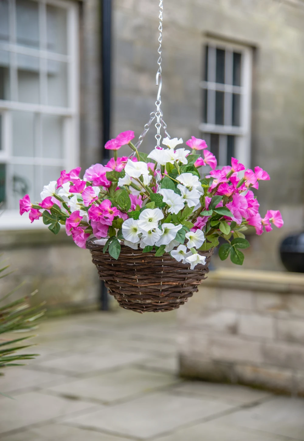 pink and white petunia basket