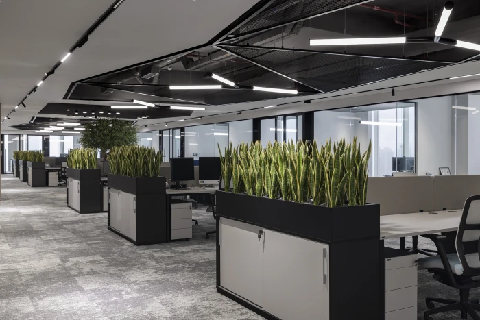 Moderno ufficio open space con scrivanie, computer e divisori decorati con piante di sansevieria in vaso, considerate tra le migliori piante da ufficio. Lo spazio è dotato di moquette grigia, armadi bianchi e ampie finestre, che gli conferiscono un aspetto luminoso e pulito.