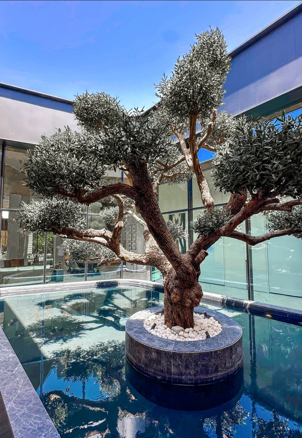 artificial bonsai tree installed outside in a pool