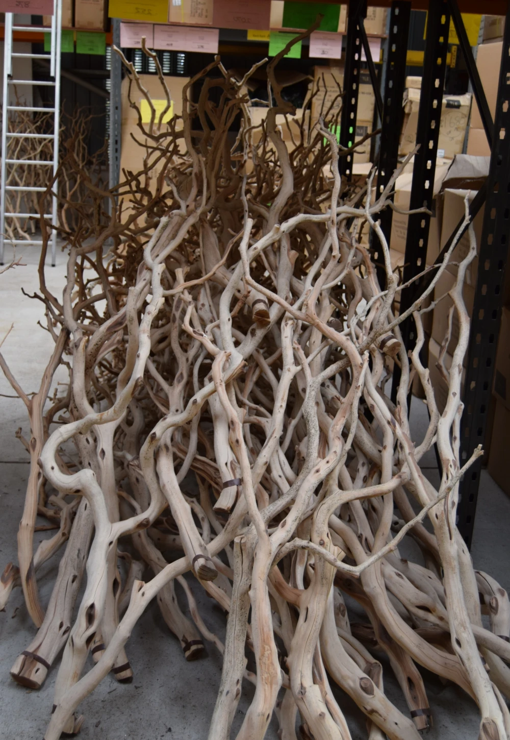 a manzanita branch bundle