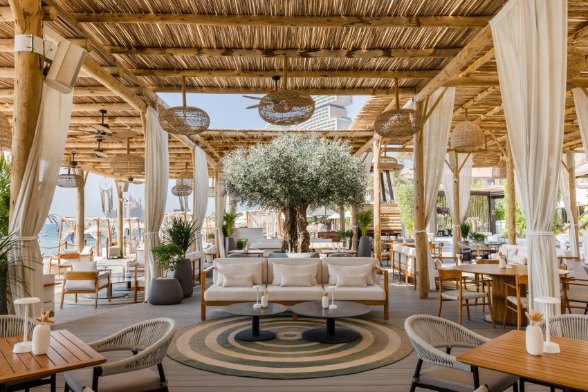 An olive tree installed at Laguna Beach Bar Dubai