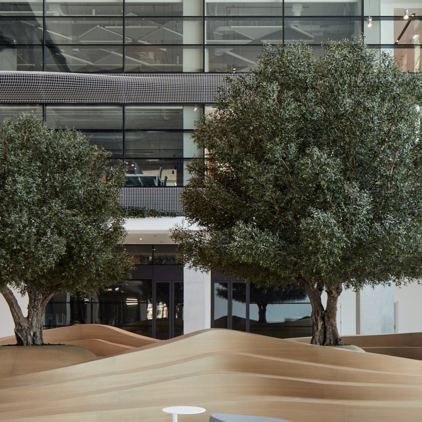 AlberoLocalizzare l'albero situato all'interno di un ristorante.