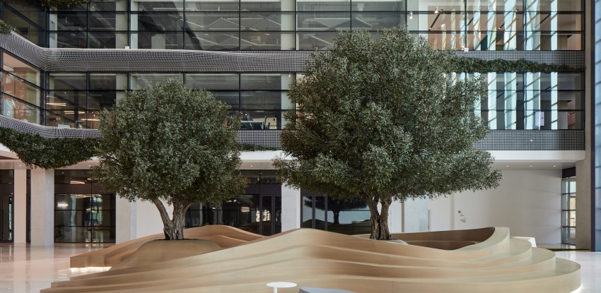 AlberoLocalizzare l'albero situato all'interno di un ristorante.